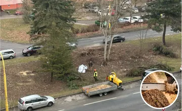 Obyvateľov sídliska v Žiline vystrašil výrub ihličnanov. Čo na ich mieste vznikne? 