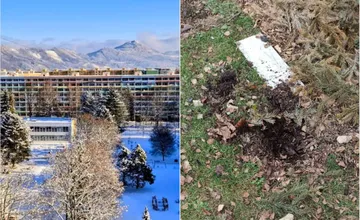 FOTO: Kto ničí zeleň na Vlčincoch? Obyvateľ zasadil kríky, niekto ich orezal, neskôr spolu s trvalkami vytrhal