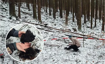 Nenápadný svah v lese skrýval tajomstvo: Archeológovia pri Hornej Štubni objavili rozsiahle milierisko