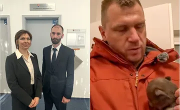 Kuffa prehral súd pre odstrel medveďov na Liptove. Súd dal za pravdu ochranárom