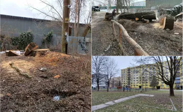 FOTO: V Parku Frambor a na Vlčincoch sa rúbu stromy. Ľuďom sa to nepáči, dôvodov je viacero