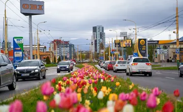 Žilina bude kvitnúť ako nikdy predtým. Chystá sa veľká výsadba v parkoch aj pri cestách