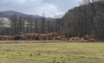 Čo bude s tonami dreva, ktoré vyrúbali pri stavbe D3? Ľudia ho chceli kúpiť, boja sa jeho zničenia