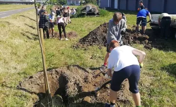 Namiesto rúbania sa bude sadiť! V Žiline pribudnú nové aleje, okrasné stromy aj metasekvoja, kde sa na ne môžete tešiť?