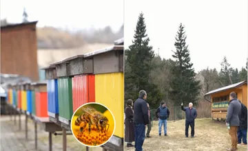VIDEO: Včely ako učebňa pod holým nebom. Liptovský Mikuláš plánuje vybudovať mestskú včelnicu pre školy aj verejnosť