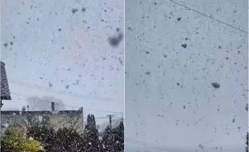 VIDEO: Pri Žiline sa spustilo husté sneženie: Vo Višňovom padali obrovské vločky