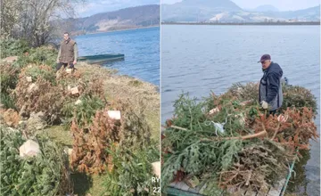 FOTO: Prekvapenie na Vodnej nádrži Žilina: Do vody umiestnili desiatky vianočných stromčekov, aký majú význam?