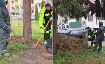 VIDEO: Na sídliskách a v parkoch v Žiline sa hromadí odpad zo záhrad obyvateľov. Hrozia za to pokuty
