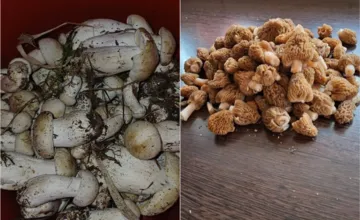 FOTO: Hubári na Liptove sa podelili o svoje prvé úlovky. Sezónu začali plnými miskami, ostatným dali cenné rady