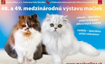 Do Žiliny sa vracia veľká výstava mačiek. Návštevníci uvidia vyše 400 zvierat
