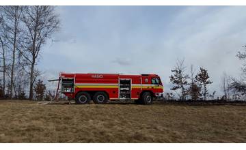 V Trnovom zhorel les. Škoda je odhadovaná na 4000 eur