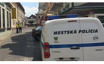 Včely ohrozovali občanov na Mariánskom námestí