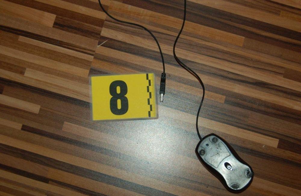 Mladík predával odcudzené notebooky, hrozí mu až 10 rokov, foto 2