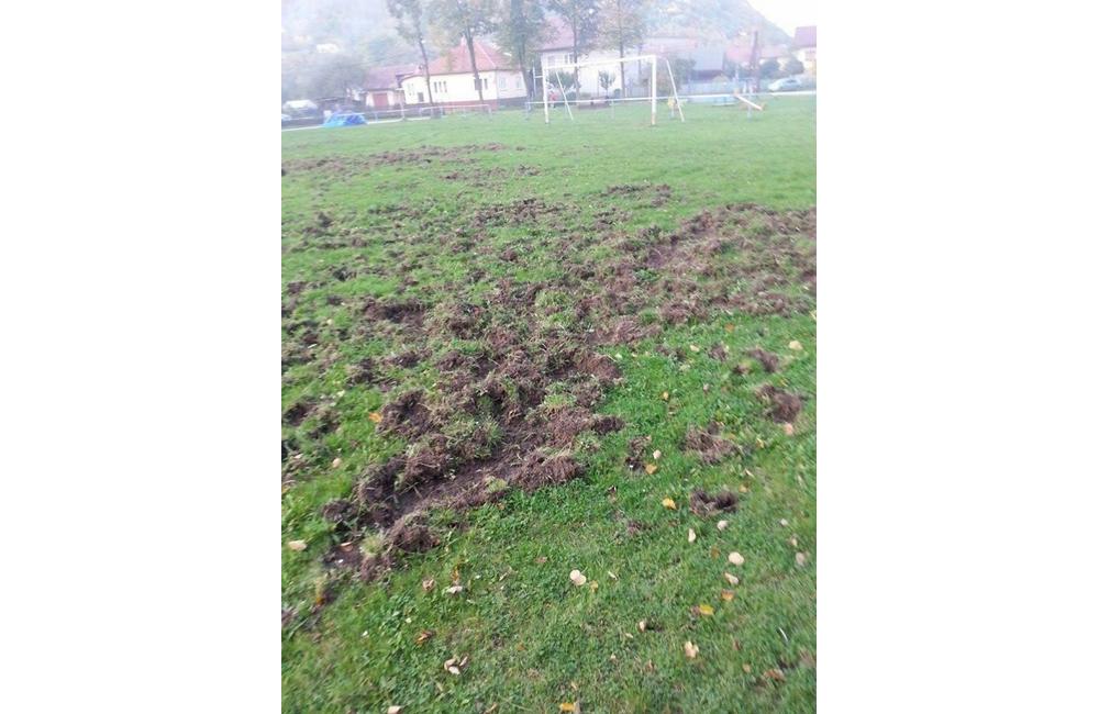 Diviaky zničili futbalové ihrisko v mestskej časti Vranie, foto 2