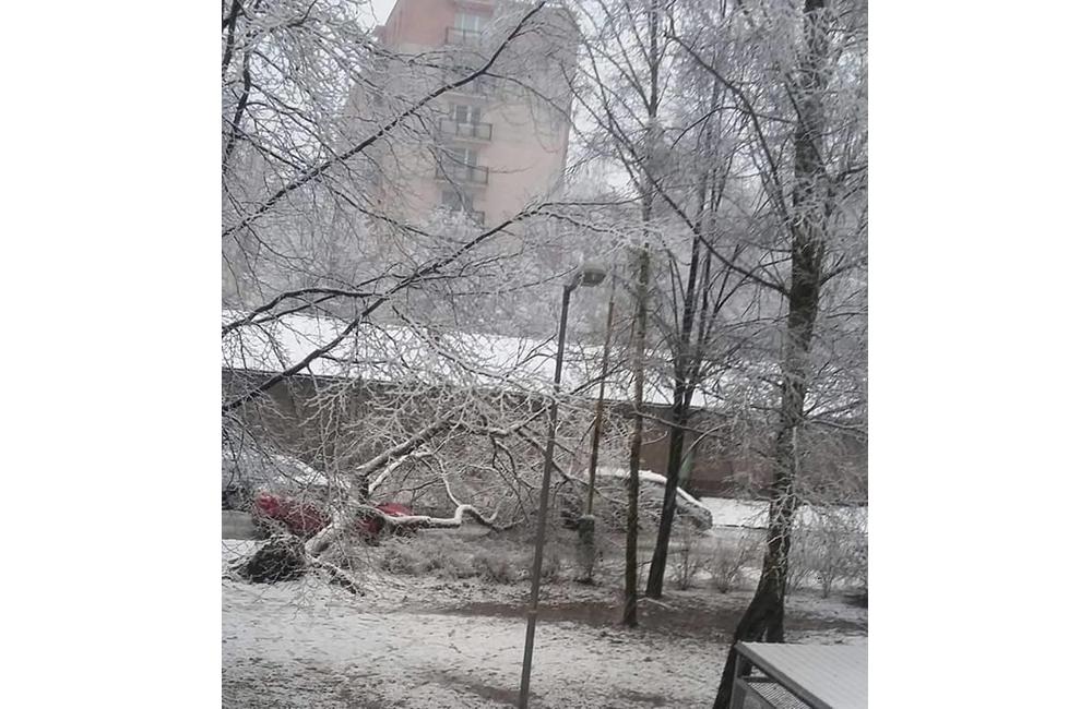 Spadnutý strom na Matice Slovenskej, Vlčince - 10.2.2016, foto 1