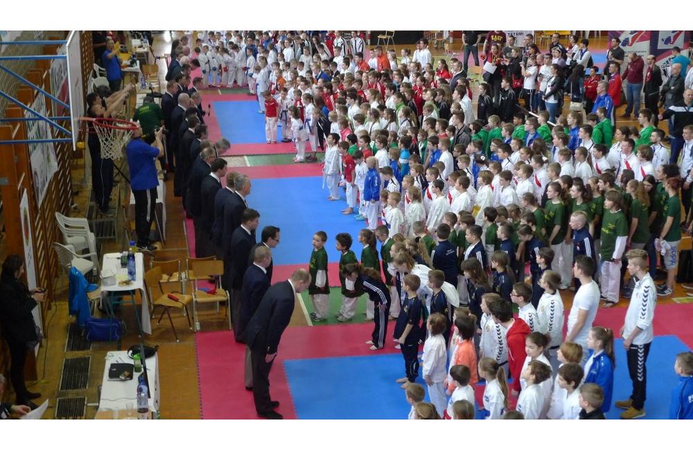 Grand Prix Žilina v Karate 19.3.2016, foto 7