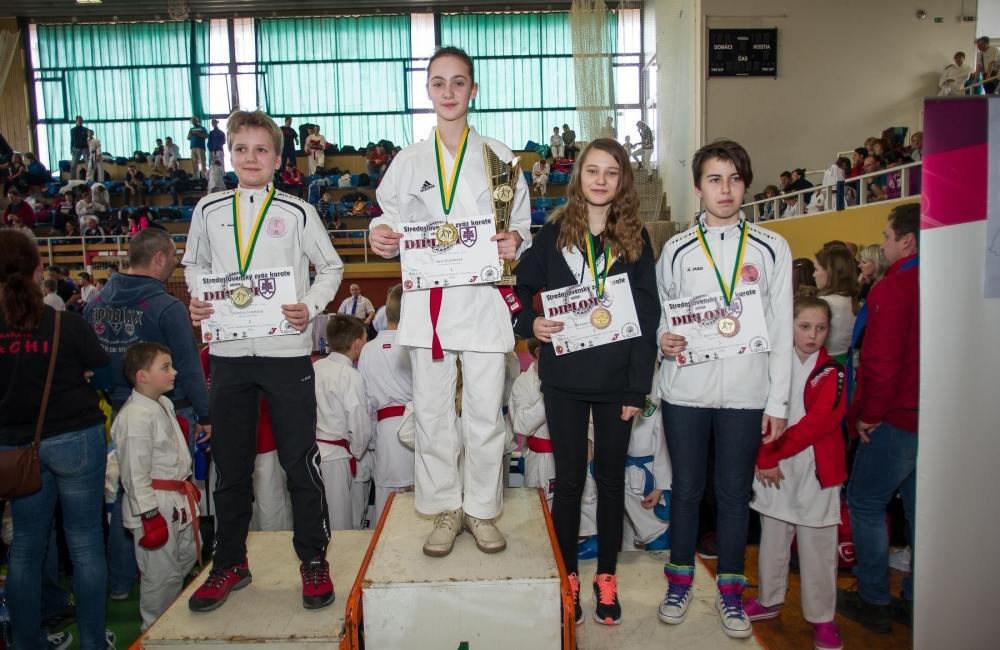 Grand Prix Žilina v Karate 19.3.2016, foto 10