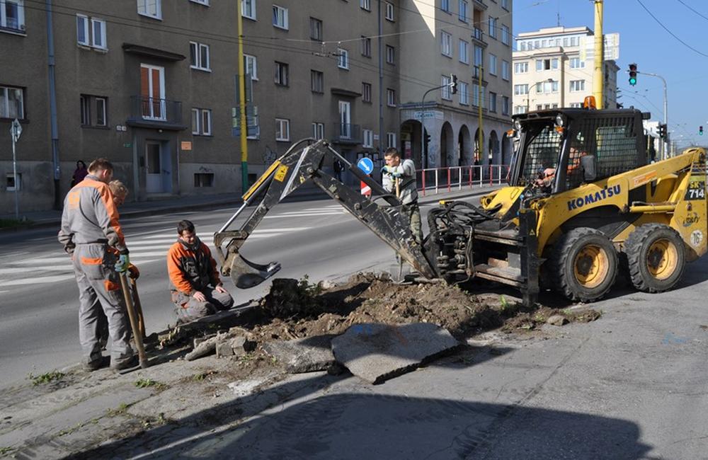 Na Veľkej okružnej ulici vzniká nové stromoradie , foto 1