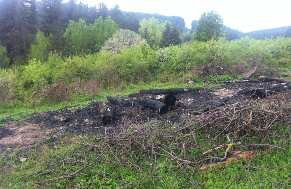 Požiar lesa na Hradisku 11.05.2016, foto 8