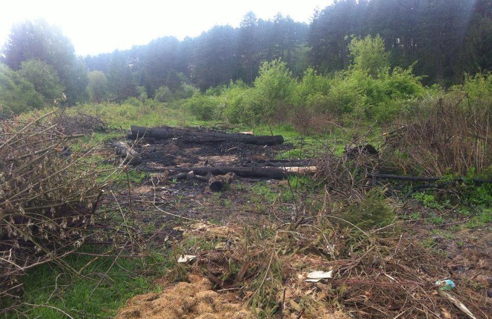 Požiar lesa na Hradisku 11.05.2016, foto 9