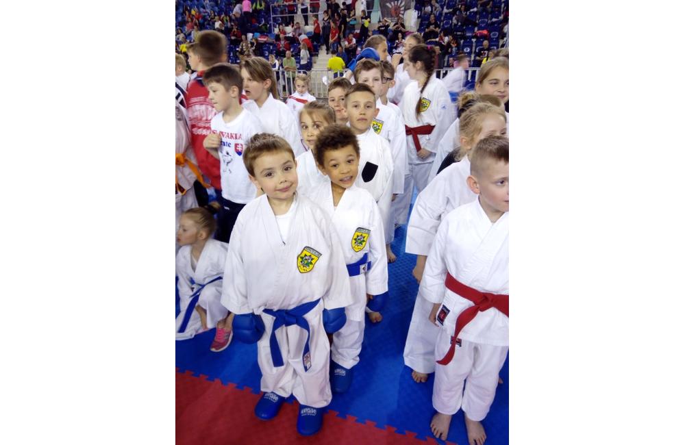 9 medailí z majstrovstiev Slovenska v Karate detí putuje do Žiliny, foto 8