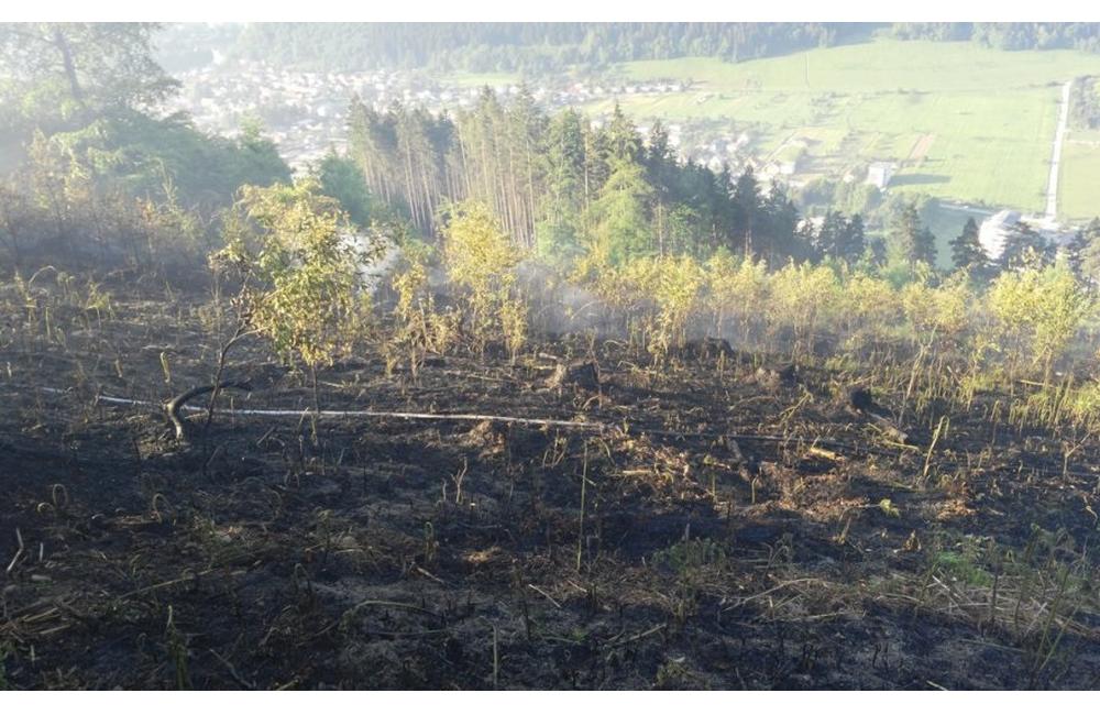 Požiar lesa nad Považským Chlmcom 23.5.2016, foto 1