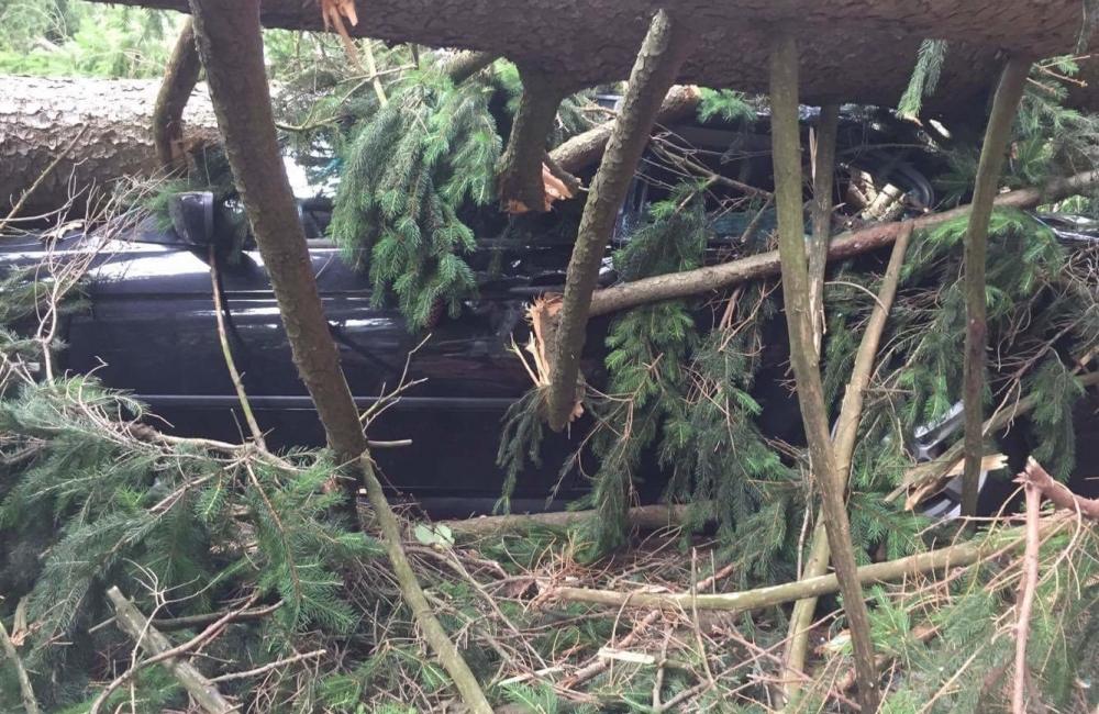 V Rajeckých Tepliciach spadli na autá stromy, foto 1