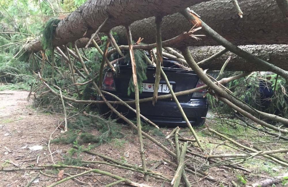 V Rajeckých Tepliciach spadli na autá stromy, foto 2