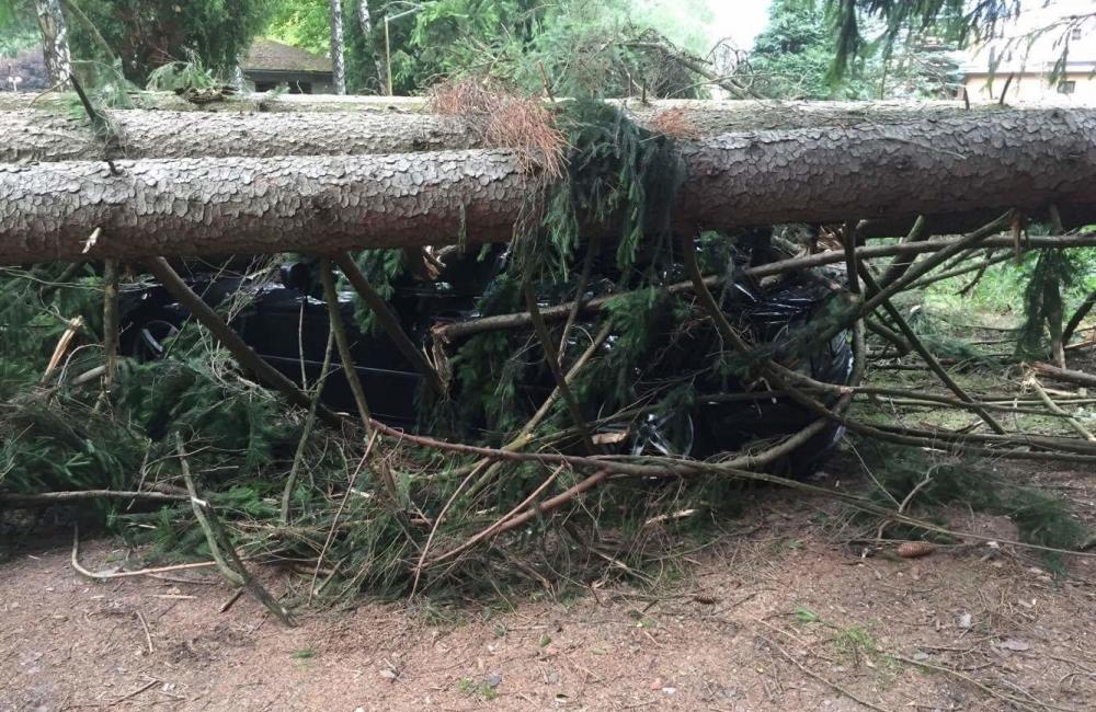 V Rajeckých Tepliciach spadli na autá stromy, foto 3