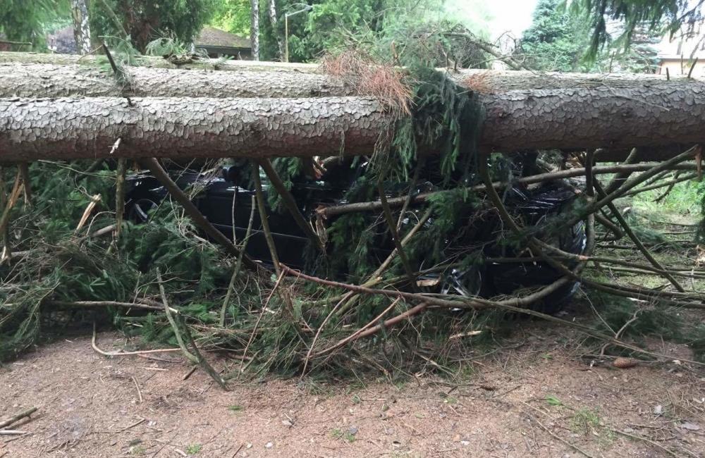 V Rajeckých Tepliciach spadli na autá stromy, foto 4
