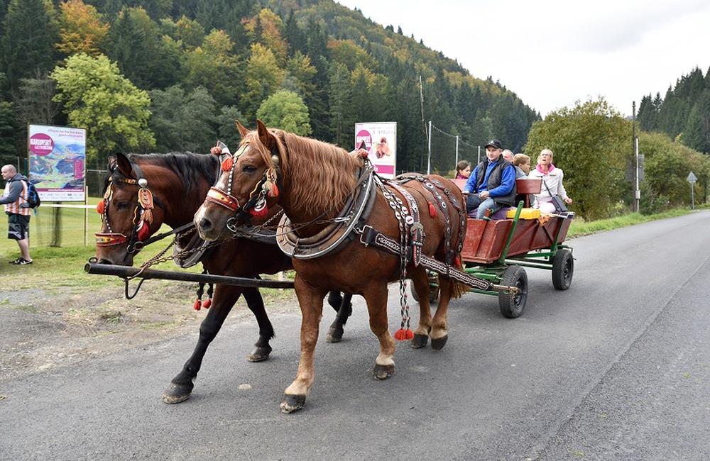 Karlovský gastrofestival už 1. - 2. októbra 2016, foto 1