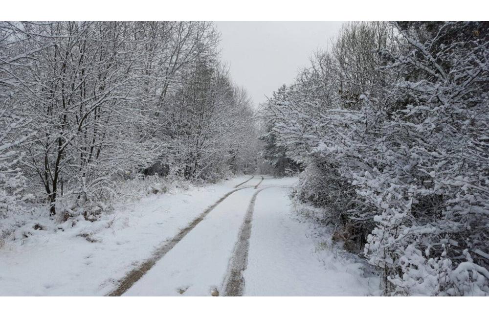 Snehová nádielka v Žiline a okolí - fotografie čitateľov, foto 14