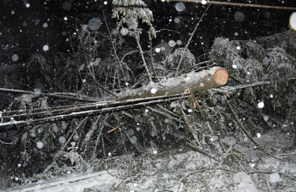 Pred vlak spadol strom, ktorý strhol aj trakčné vedenie a zranil rušňovodiča, foto 8