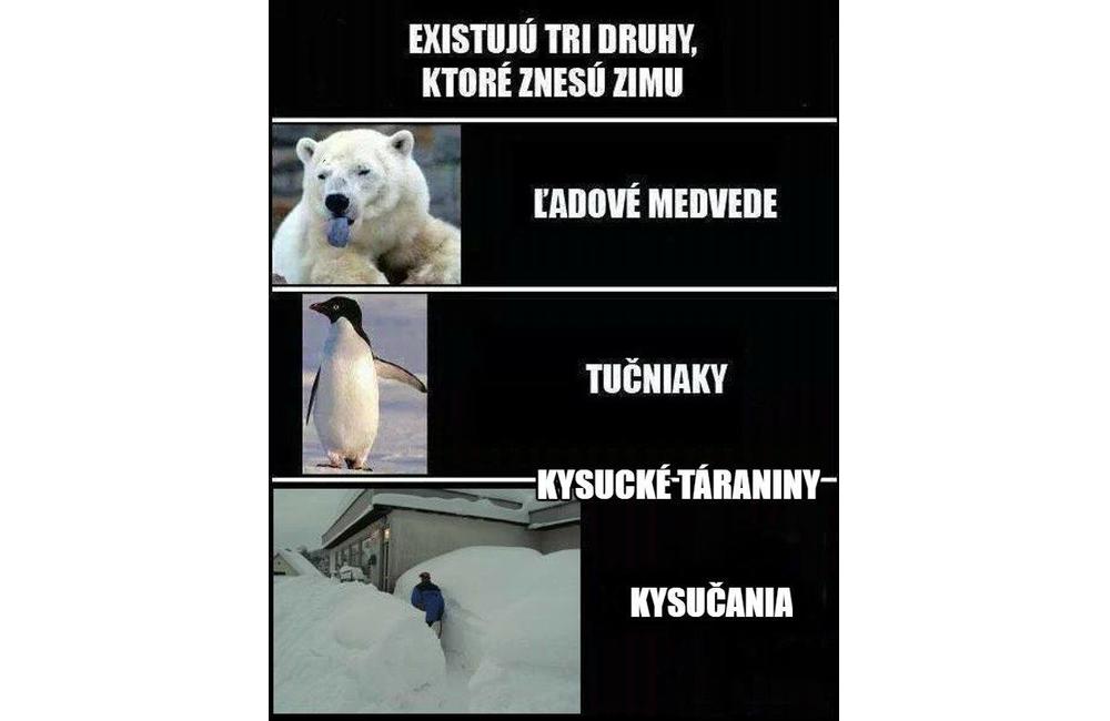 Internet vtipne reaguje na snehovú nádielku na Orave a na Kysuciach, foto 7