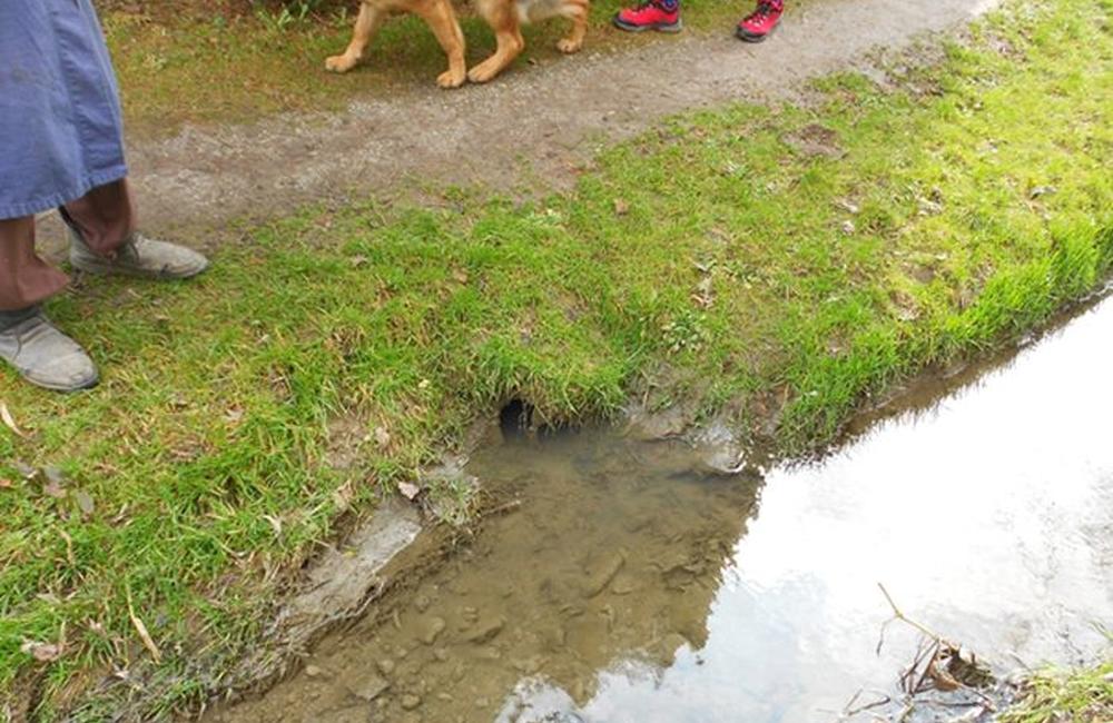 Potok Všivák začali čistiť od nánosov, pripravujú sa ďalšie kroky a aktivity, foto 9