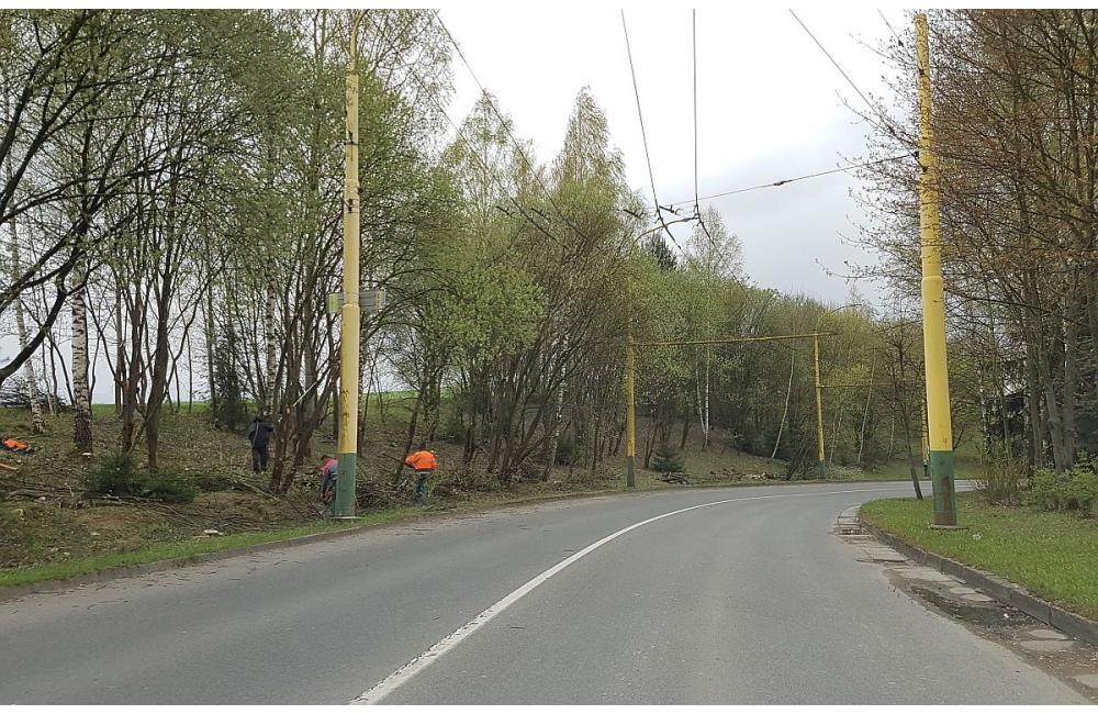 Nebezpečné stromy na sídlisku Solinky vyrezali, foto 4