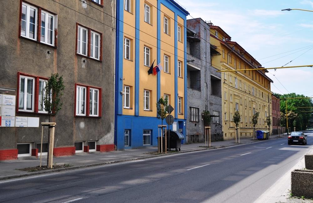 Výsadba nových stromov ulica 1. mája , foto 2