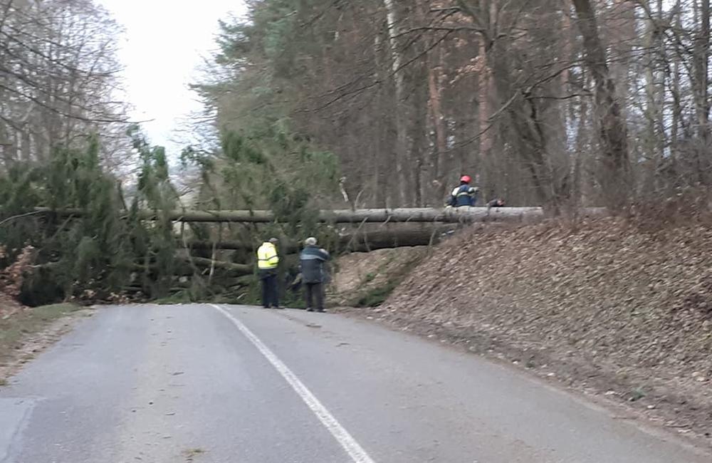 Polícia odkláňa pri sídlisku Hájik dopravu smerujúcu do Hôrok, na ceste spadli stromy, foto 4