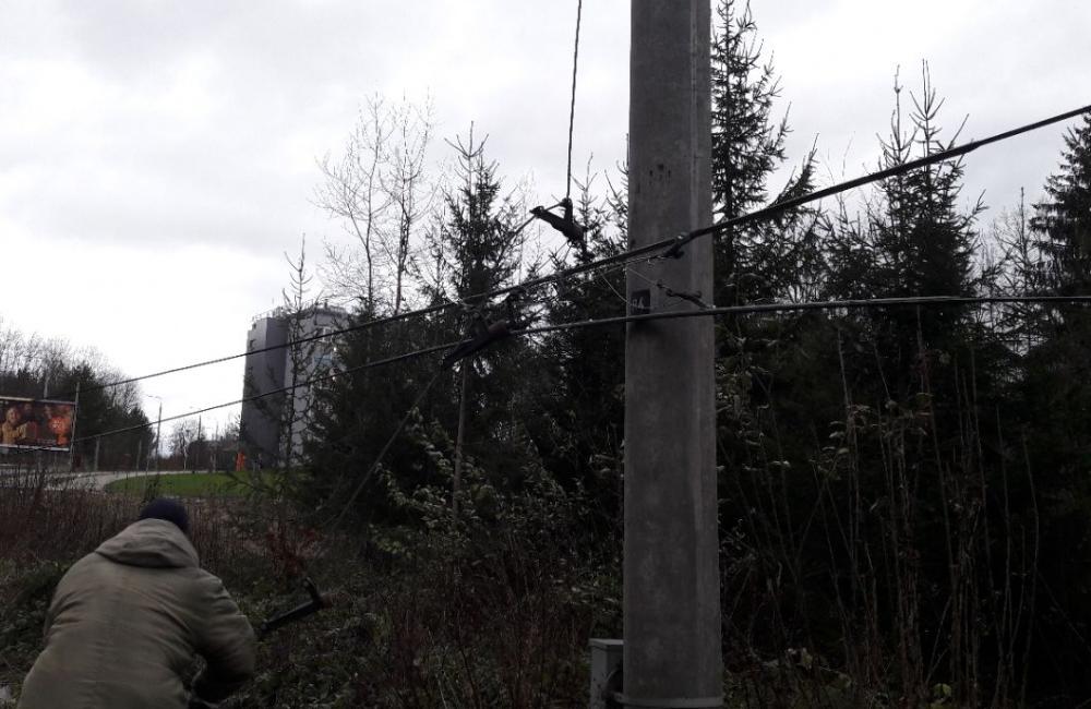 Spadnutý strom na ulici Veľký diel 12.12.2017, foto 3