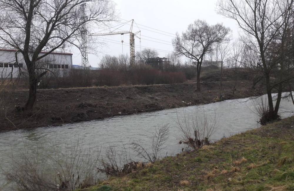 Výrub stromov v okolí Rajčanky - február 2018, foto 4