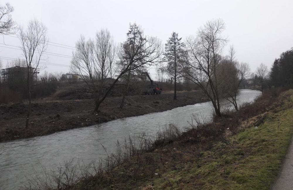 Výrub stromov v okolí Rajčanky - február 2018, foto 5