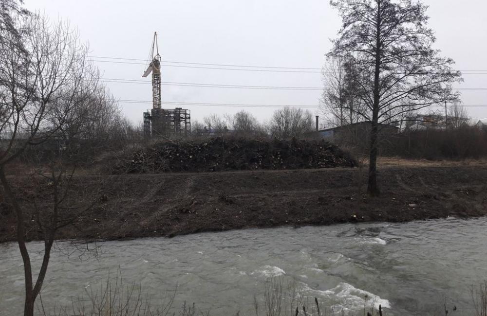 Výrub stromov v okolí Rajčanky - február 2018, foto 6