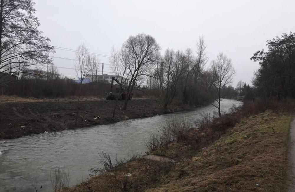 Výrub stromov v okolí Rajčanky - február 2018, foto 7