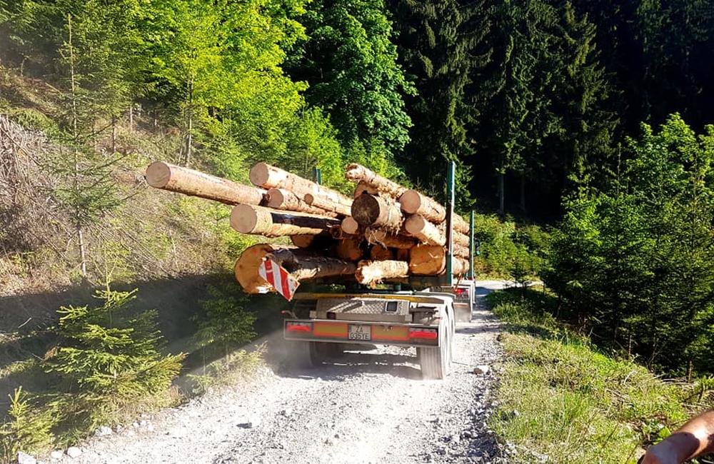 V okolí Chaty pod Suchým aj pri Minčole sa vo veľkom ťaží drevo, foto 4