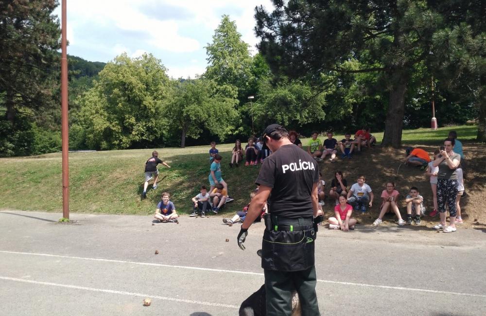 Žilinskí policajti so špeciálne vycvičenými psami navštívili deti počas školy v prírode, foto 1