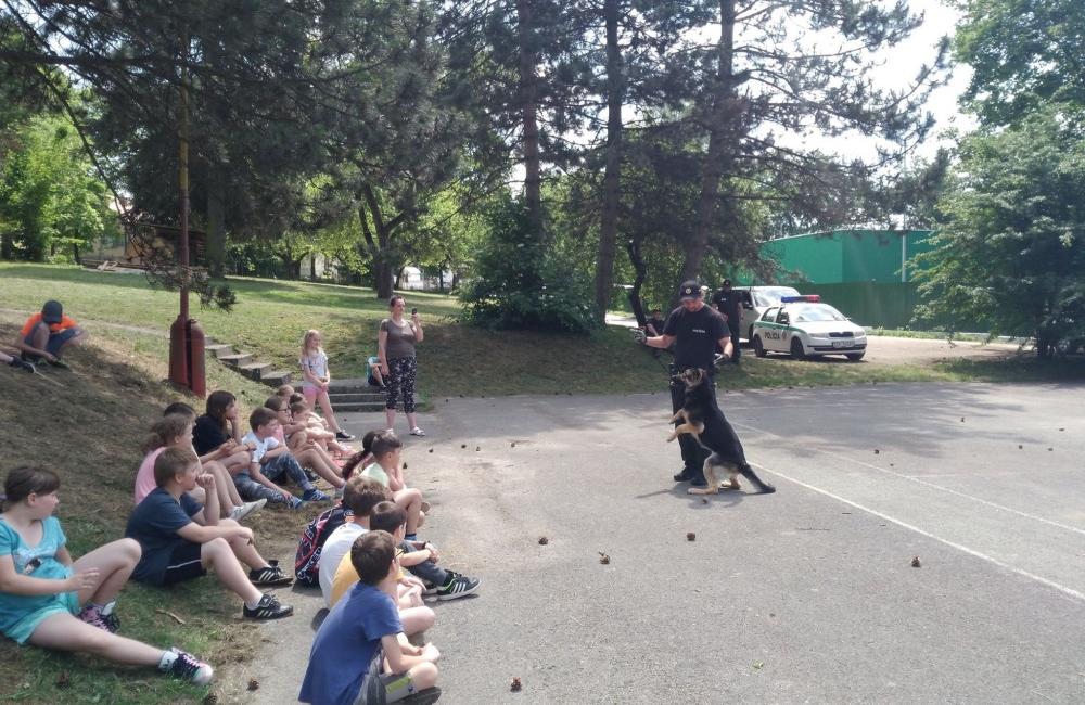 Žilinskí policajti so špeciálne vycvičenými psami navštívili deti počas školy v prírode, foto 2
