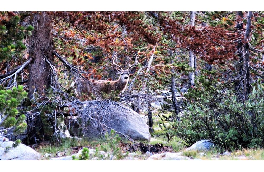 Milo z Višňového zdolal ako prvý Slovák Pacific Crest Trail, foto 54