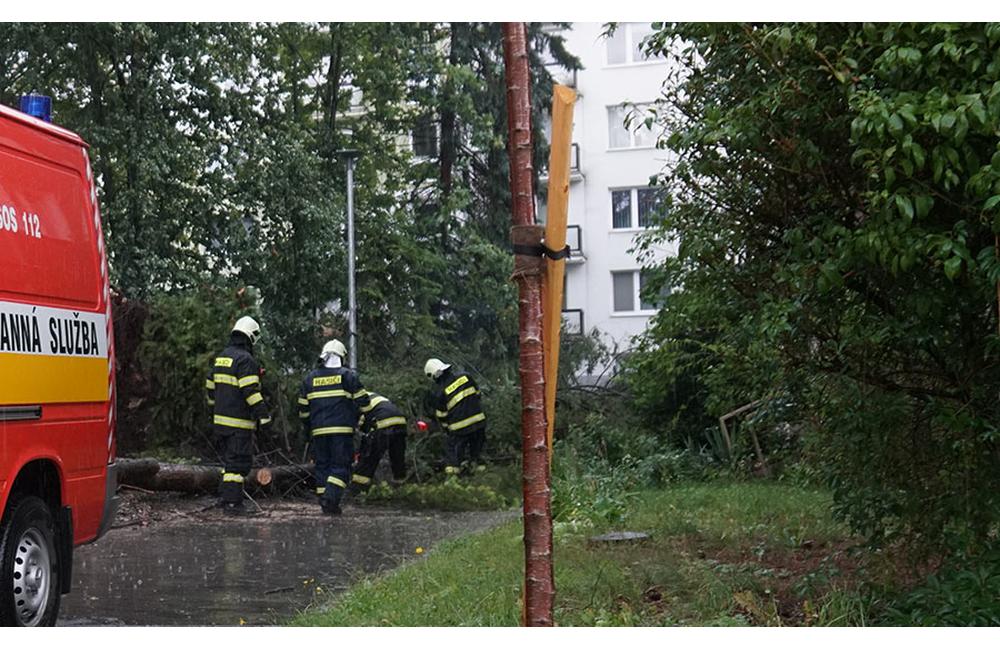 FOTO: Žilinou sa prehnala búrka, na Predmestskej ulici popadali stromy na autá, foto 3