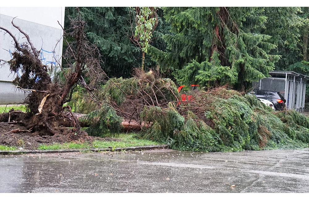 FOTO: Žilinou sa prehnala búrka, na Predmestskej ulici popadali stromy na autá, foto 4