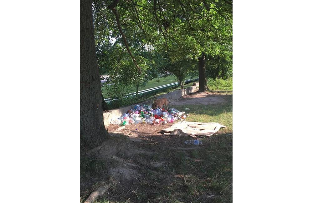 Odpadky v areáli ihriska pri ZŠ Martinská, foto 1